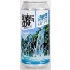 Stepping Stone Brewing Co., Liquid Overflow